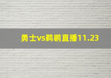 勇士vs鹈鹕直播11.23