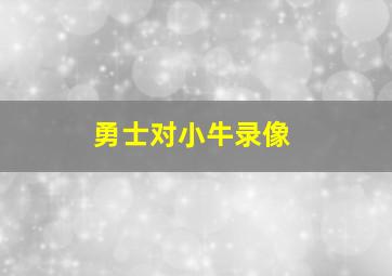 勇士对小牛录像