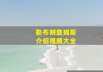 勒布朗詹姆斯介绍视频大全