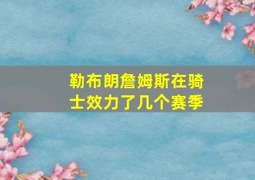 勒布朗詹姆斯在骑士效力了几个赛季