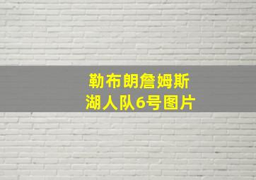 勒布朗詹姆斯湖人队6号图片