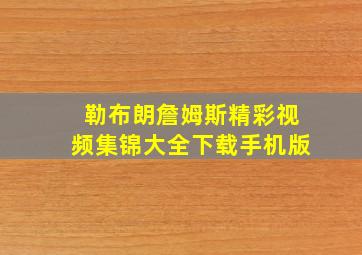 勒布朗詹姆斯精彩视频集锦大全下载手机版