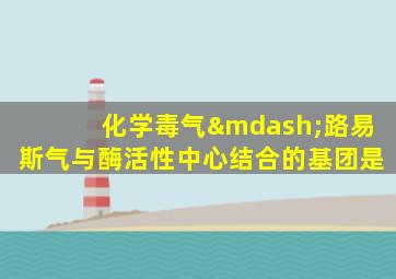 化学毒气—路易斯气与酶活性中心结合的基团是