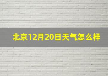 北京12月20日天气怎么样