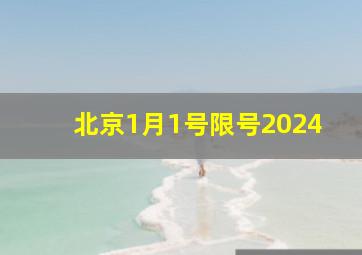 北京1月1号限号2024