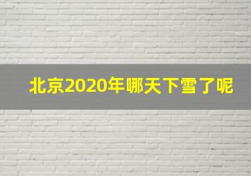 北京2020年哪天下雪了呢