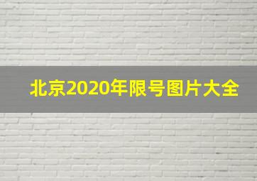 北京2020年限号图片大全