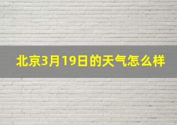 北京3月19日的天气怎么样