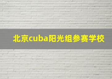 北京cuba阳光组参赛学校