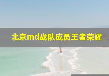 北京md战队成员王者荣耀