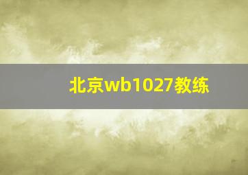 北京wb1027教练