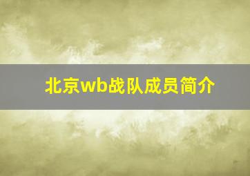 北京wb战队成员简介