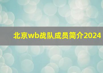 北京wb战队成员简介2024