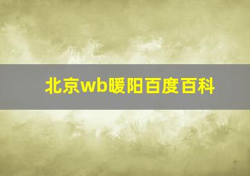 北京wb暖阳百度百科