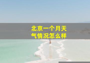 北京一个月天气情况怎么样