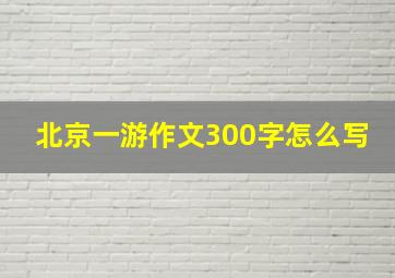 北京一游作文300字怎么写