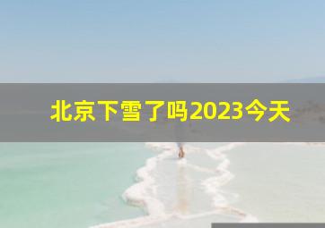 北京下雪了吗2023今天