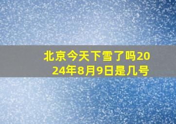 北京今天下雪了吗2024年8月9日是几号