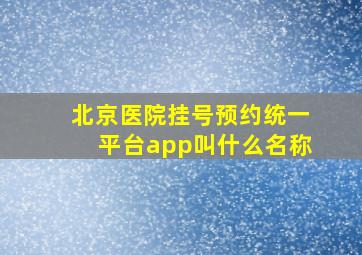 北京医院挂号预约统一平台app叫什么名称