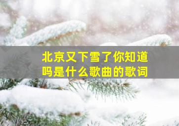 北京又下雪了你知道吗是什么歌曲的歌词