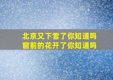 北京又下雪了你知道吗窗前的花开了你知道吗