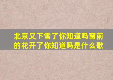 北京又下雪了你知道吗窗前的花开了你知道吗是什么歌