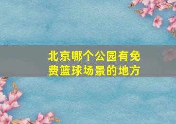 北京哪个公园有免费篮球场景的地方