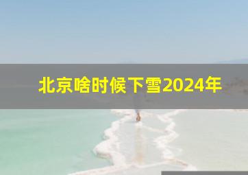 北京啥时候下雪2024年