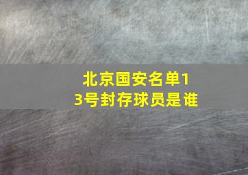 北京国安名单13号封存球员是谁