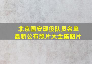 北京国安现役队员名单最新公布照片大全集图片