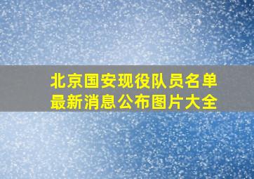 北京国安现役队员名单最新消息公布图片大全