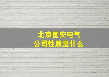 北京国安电气公司性质是什么