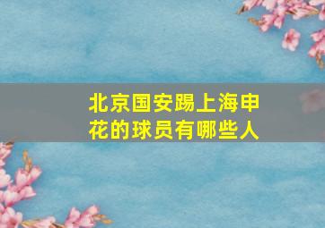 北京国安踢上海申花的球员有哪些人