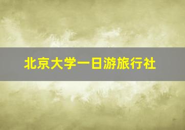 北京大学一日游旅行社