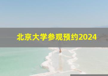 北京大学参观预约2024