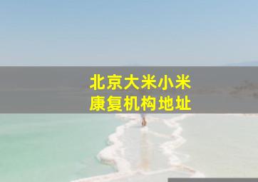 北京大米小米康复机构地址