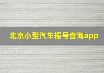 北京小型汽车摇号查询app