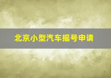 北京小型汽车摇号申请