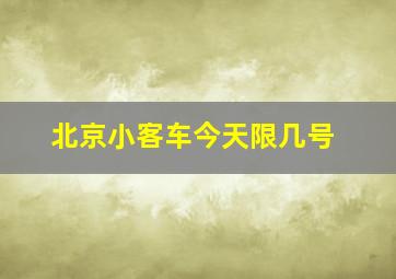 北京小客车今天限几号