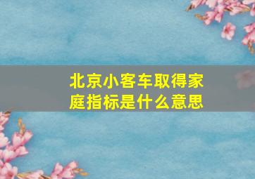 北京小客车取得家庭指标是什么意思