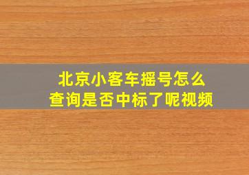 北京小客车摇号怎么查询是否中标了呢视频