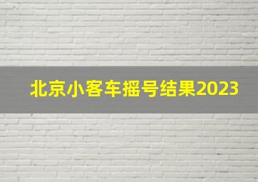 北京小客车摇号结果2023