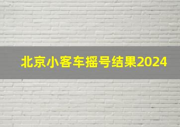 北京小客车摇号结果2024