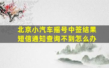 北京小汽车摇号中签结果短信通知查询不到怎么办