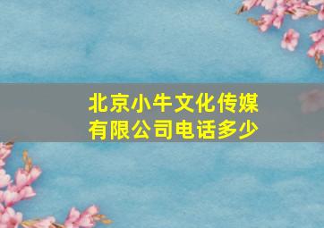 北京小牛文化传媒有限公司电话多少