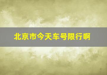 北京市今天车号限行啊