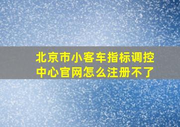 北京市小客车指标调控中心官网怎么注册不了