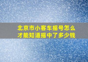 北京市小客车摇号怎么才能知道摇中了多少钱