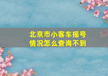 北京市小客车摇号情况怎么查询不到