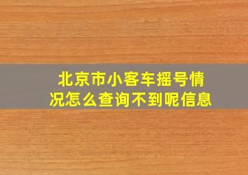 北京市小客车摇号情况怎么查询不到呢信息